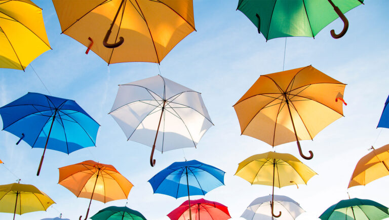 Read more about the article All about starting a 501(c)(3) organization